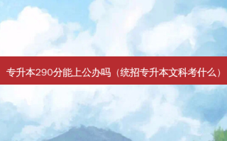 专升本290分能上公办吗（统招专升本文科考什么）