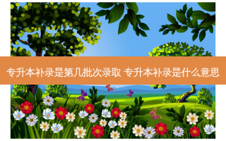 专升本补录是第几批次录取 专升本补录是什么意思