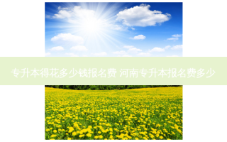专升本得花多少钱报名费 河南专升本报名费多少