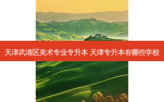 天津武清区美术专业专升本 天津专升本有哪些学校