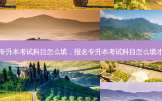 报名专升本考试科目怎么填，报名专升本考试科目怎么填才正确