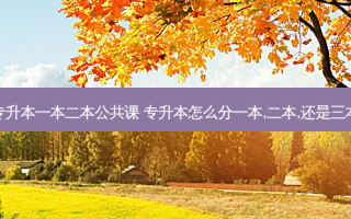 专升本一本二本公共课 专升本怎么分一本,二本,还是三本