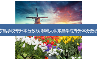 东昌学校专升本分数线 聊城大学东昌学院专升本分数线