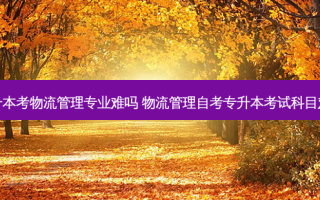 专升本考物流管理专业难吗 物流管理自考专升本考试科目难吗