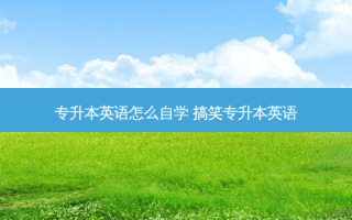 专升本英语怎么自学 搞笑专升本英语