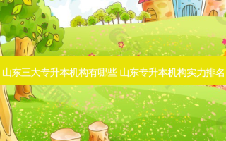 山东三大专升本机构有哪些 山东专升本机构实力排名
