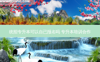 统招专升本可以自己报名吗 专升本培训合作