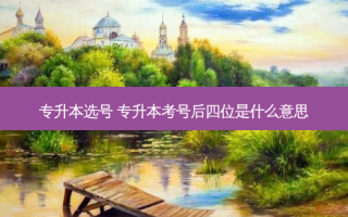 专升本选号 专升本考号后四位是什么意思