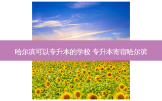 哈尔滨可以专升本的学校 专升本寄宿哈尔滨
