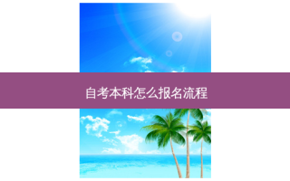 自考本科怎么报名流程