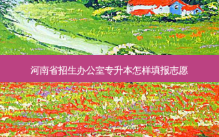 河南省招生办公室专升本怎样填报志愿