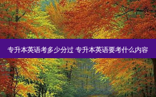 专升本英语考多少分过 专升本英语要考什么内容