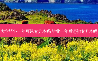 大学毕业一年可以专升本吗 毕业一年后还能专升本吗