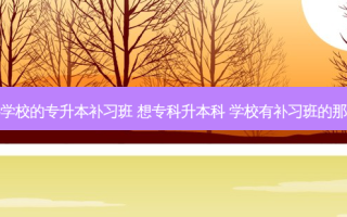专科学校的专升本补习班 想专科升本科 学校有补习班的那种吗