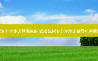 统招专升本集训营哪家好 武汉统招专升本培训辅导机构哪家强