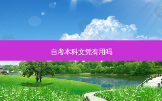 自考本科文凭有用吗
