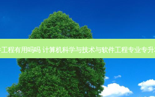 专升本学软件工程有用吗吗 计算机科学与技术与软件工程专业专升本有什么区别