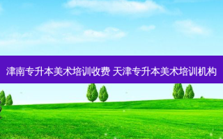 津南专升本美术培训收费 天津专升本美术培训机构