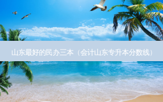 山东 *** 好的民办三本（会计山东专升本分数线）
