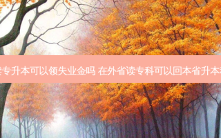 在读专升本可以领失业金吗 在外省读专科可以回本省升本科吗