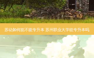 苏幼如何能不能专升本 苏州职业大学能专升本吗
