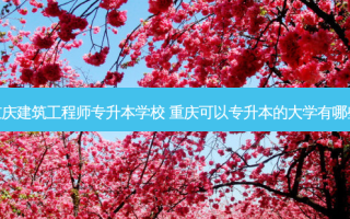 重庆建筑工程师专升本学校 重庆可以专升本的大学有哪些