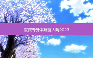 重庆专升本难度大吗2023