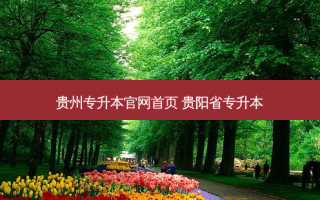 贵州专升本官网首页 贵阳省专升本