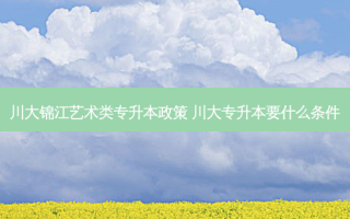 川大锦江艺术类专升本政策 川大专升本要什么条件