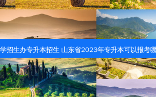 山东大学招生办专升本招生 山东省2023年专升本可以报考哪些大学