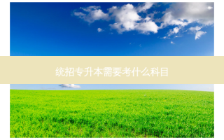 统招专升本需要考什么科目