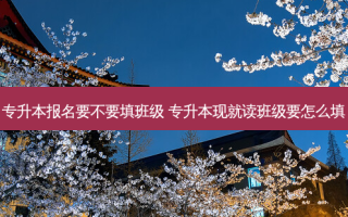 专升本报名要不要填班级 专升本现就读班级要怎么填