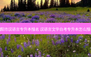 朝阳市汉语言专升本报名 汉语言文学自考专升本怎么报考