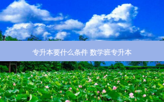 专升本要什么条件 数学班专升本