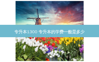 专升本1300 专升本的学费一般是多少