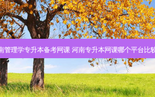 河南管理学专升本备考网课 河南专升本网课哪个平台比较好