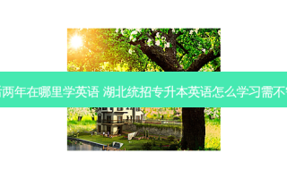 专升本后两年在哪里学英语 湖北统招专升本英语怎么学习需不需要报班