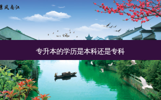 专升本的学历是本科还是专科