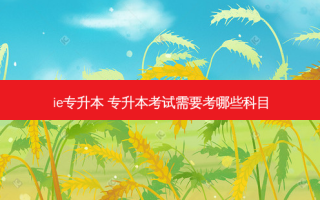 ie专升本 专升本考试需要考哪些科目