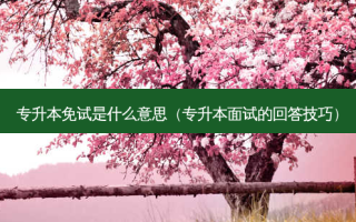 专升本免试是什么意思（专升本面试的回答技巧）