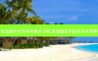 青岛城市专升本学费多少钱 青岛城市学院专升本学费