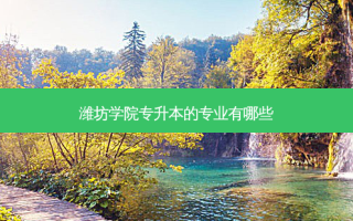 潍坊学院专升本的专业有哪些