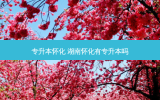 专升本怀化 湖南怀化有专升本吗
