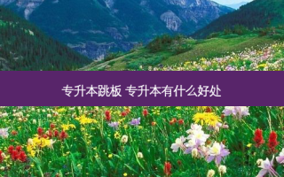 专升本跳板 专升本有什么好处