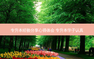 专升本经验分享心得体会 专升本学子认真
