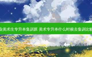 专业美术生专升本集训班 美术专升本什么时候去集训比较好