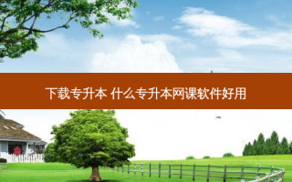下载专升本 什么专升本网课软件好用
