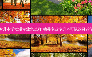 中专升本学动漫专业怎么样 动漫专业专升本可以选择的学校