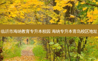 临沂市海纳教育专升本校园 海纳专升本青岛校区地址