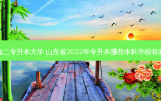 商务英语三加二专升本大学 山东省2022年专升本哪些本科学校有商务英语专业